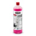 SanitPro toilet- en basisreiniger CA 10 C eco! Perform