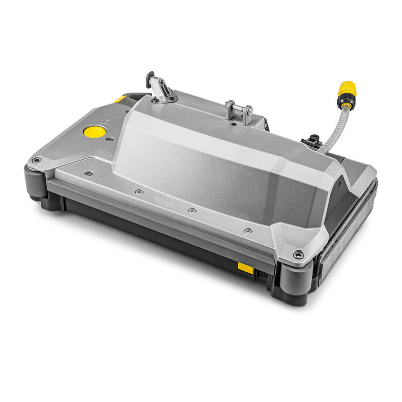 Borstelkop R55