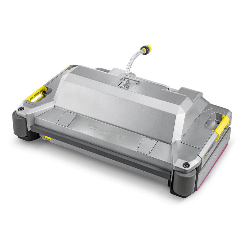 Borstelkop R65