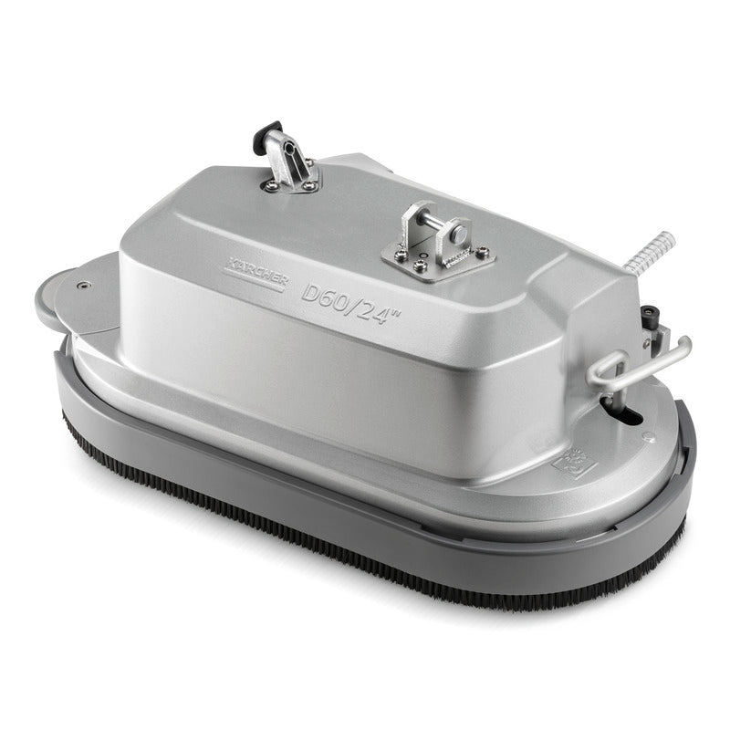 Borstelkop D60