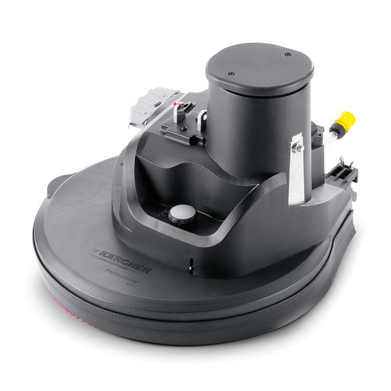 Borstelkop D51
