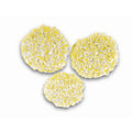 Polijstpads FP 303 Steen/Linoleum/PVC (3 st)